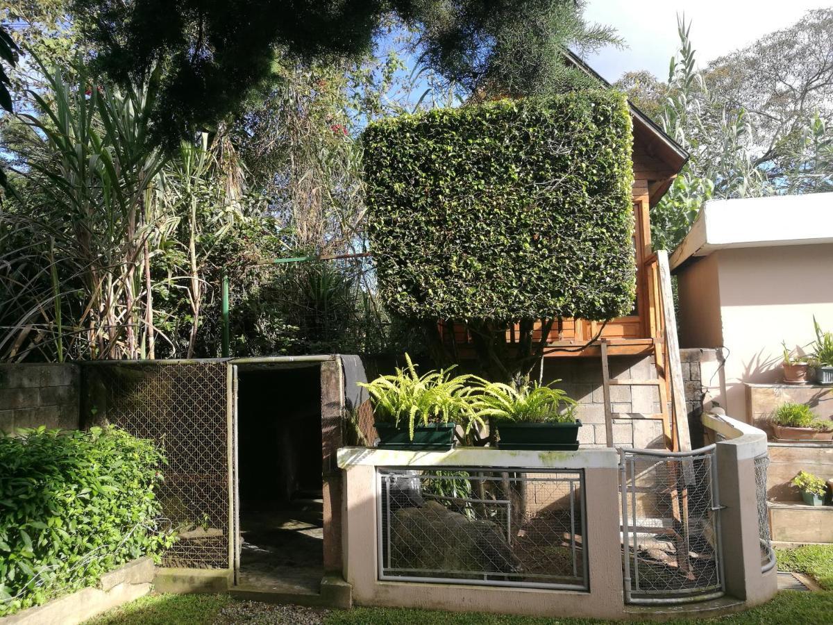 グアテマラシティCasa Familiar La Arboledaアパートメント エクステリア 写真